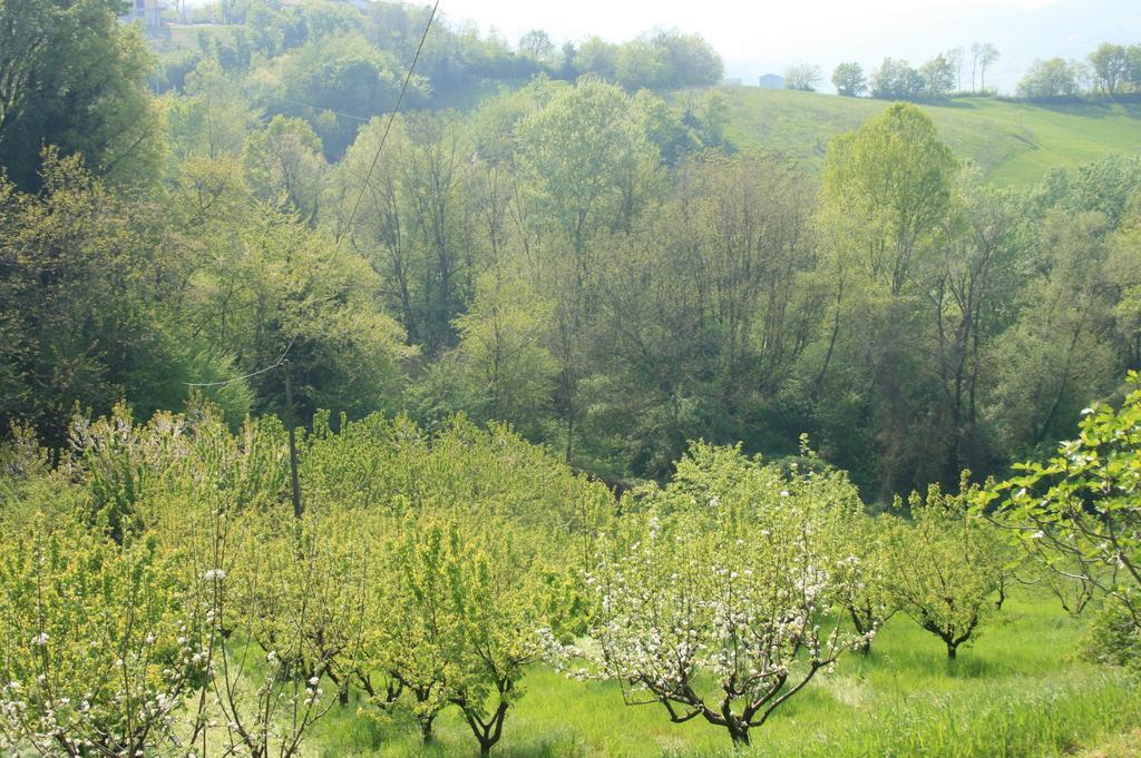 Casa Dell' Abbondanza B&B Agriturismo Vigoleno Eksteriør billede