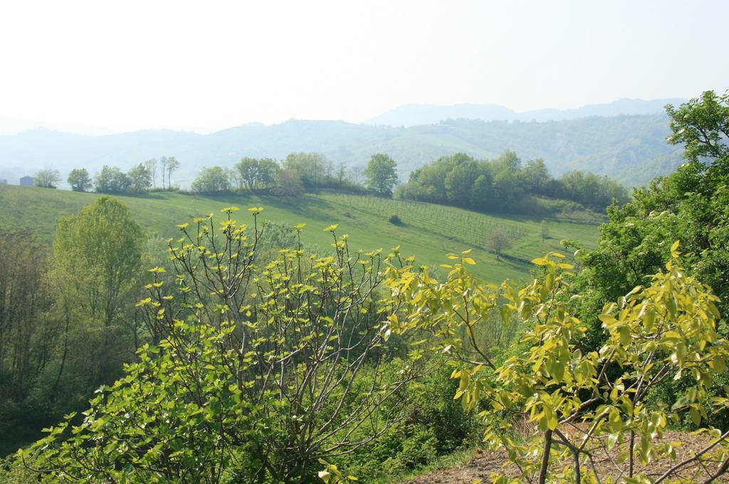 Casa Dell' Abbondanza B&B Agriturismo Vigoleno Eksteriør billede