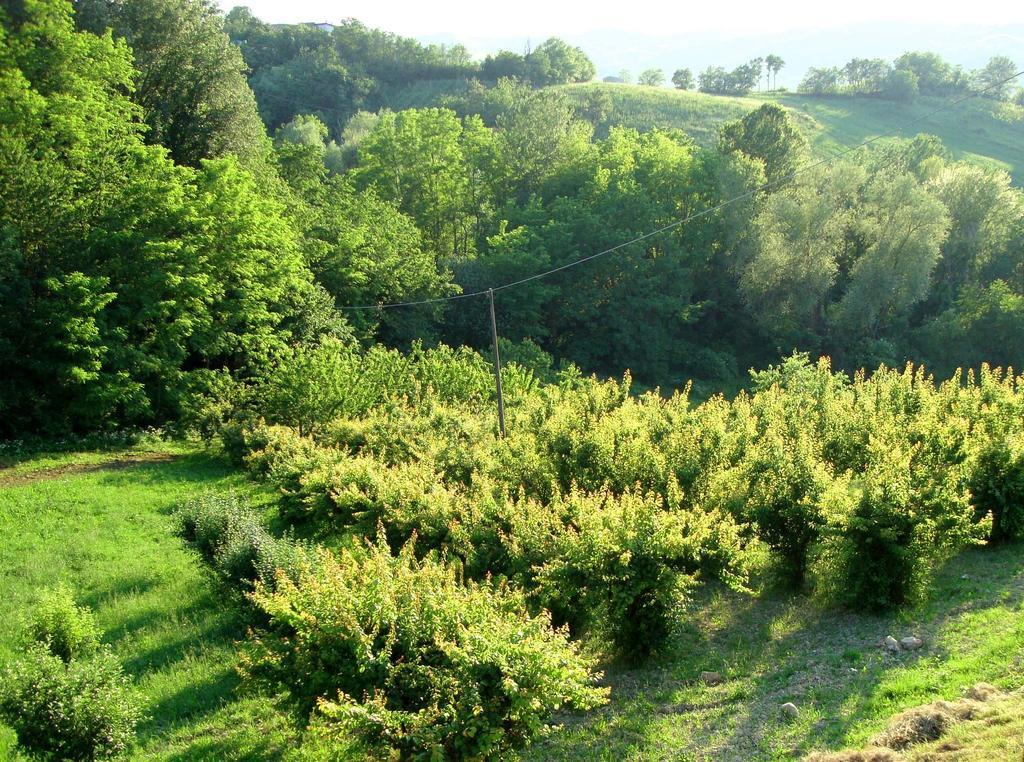 Casa Dell' Abbondanza B&B Agriturismo Vigoleno Værelse billede