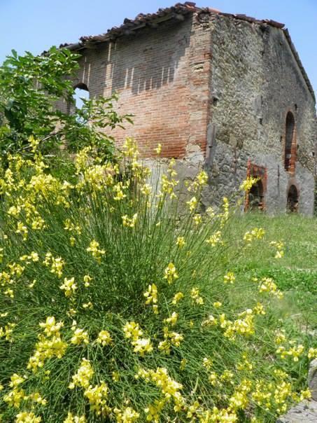 Casa Dell' Abbondanza B&B Agriturismo Vigoleno Eksteriør billede