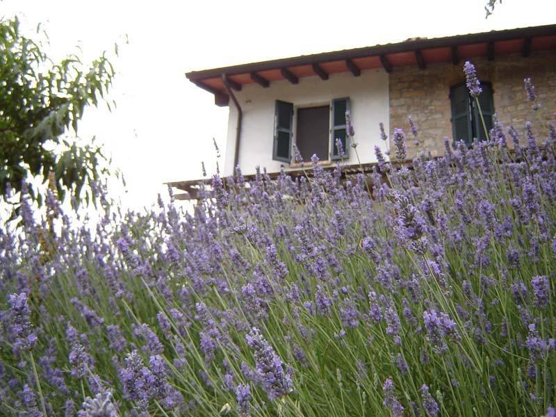 Casa Dell' Abbondanza B&B Agriturismo Vigoleno Eksteriør billede