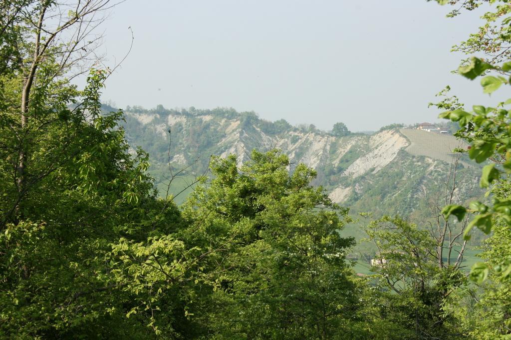 Casa Dell' Abbondanza B&B Agriturismo Vigoleno Eksteriør billede